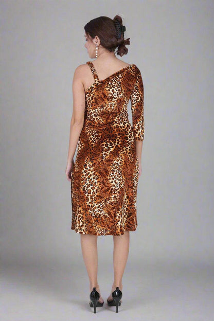 Brown Velvet Leopard Print Dress With Pearls
